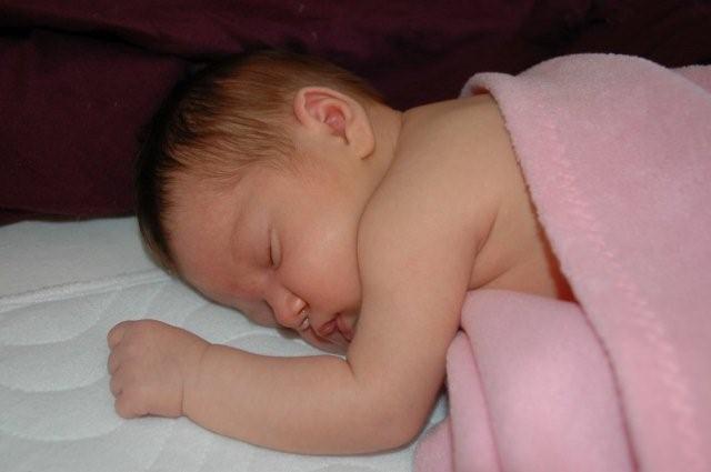 Sleeping - Click to enlarge