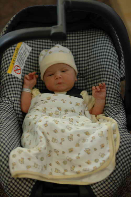 Johannes Hinterseher - Click to enlarge